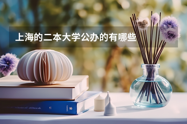 上海的二本大学公办的有哪些