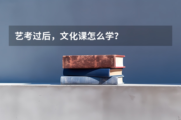 艺考过后，文化课怎么学？