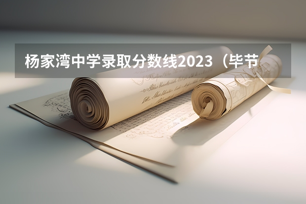 杨家湾中学录取分数线2023（毕节杨家湾中学）