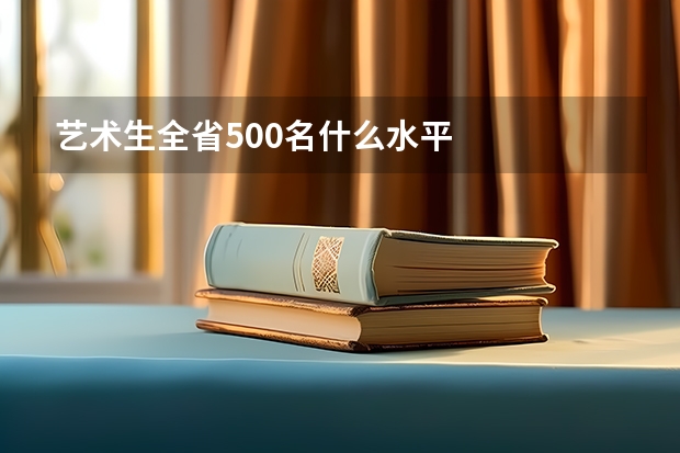 艺术生全省500名什么水平