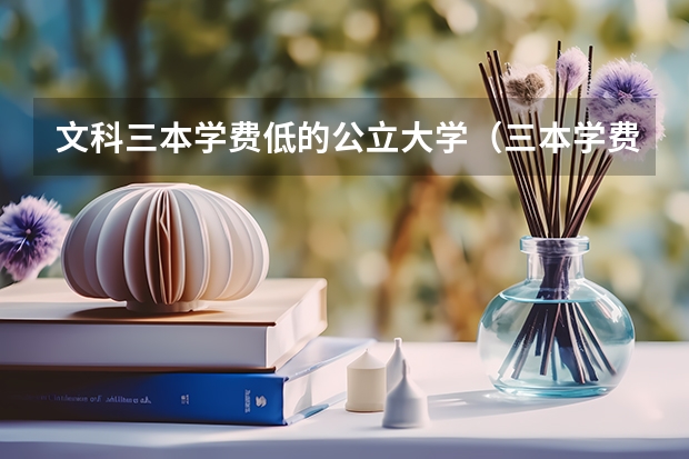 文科三本学费低的公立大学（三本学费低的公立大学）