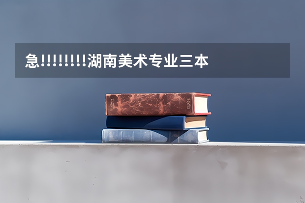 急!!!!!!!!湖南美术专业三本中哪个学校好