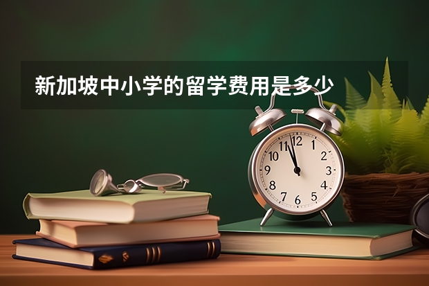 新加坡中小学的留学费用是多少