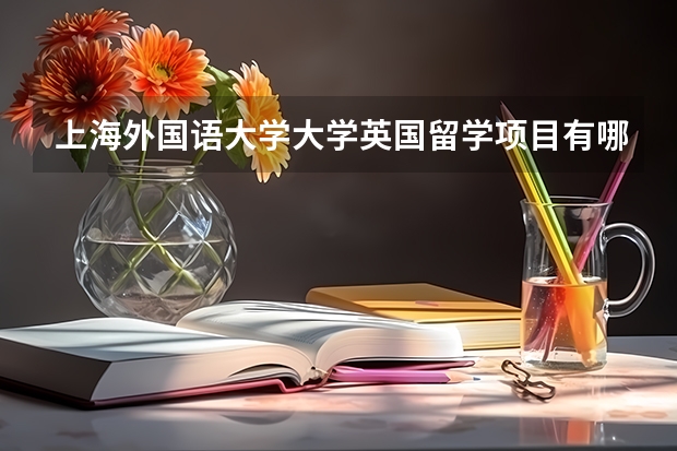 上海外国语大学大学英国留学项目有哪些? 有需要的朋友可以参考一下