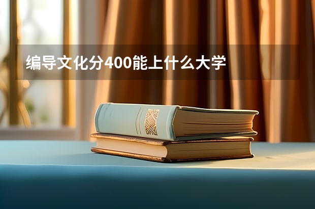 编导文化分400能上什么大学