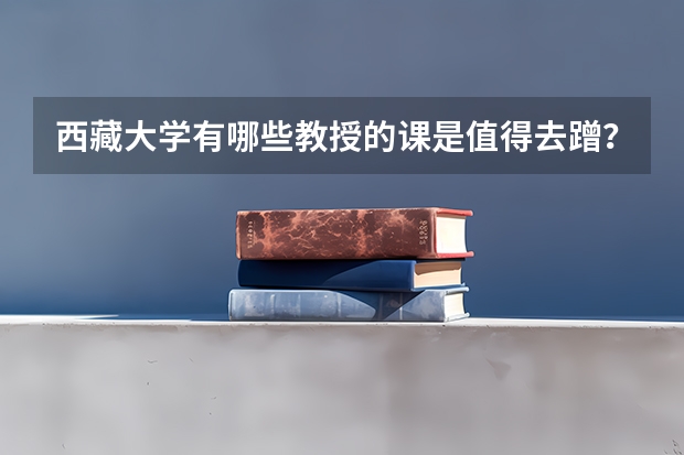 西藏大学有哪些教授的课是值得去蹭？